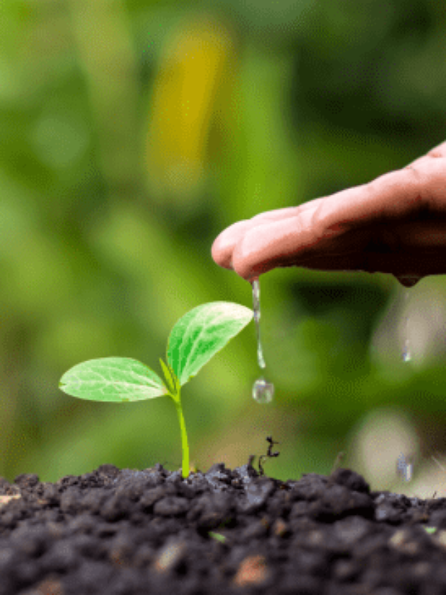 How 7 Positive Affirmations Can Change Your Life